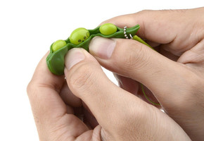 Squeezey Beans Stress Keychain