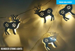 Indoor Christmas Lights - 7 Styles