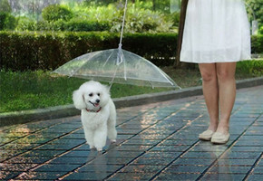 Dog Umbrella with Leash