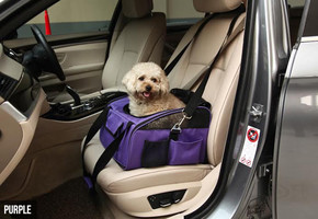 Luxury Pet Car Seat