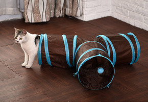 3 Way Cat Tunnel with Peep Hole