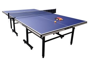 Table Tennis Table, Net & Bat Set