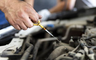 Comprehensive Vehicle Service incl. Oil & Filter Change