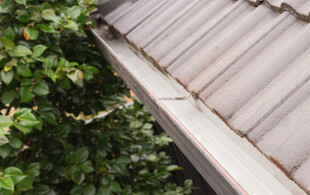 Professional Home Gutter Cleaning Service for a Single-Level Residential Dwelling - Option to include Garage