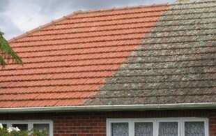 Roof Treatment Mould & Moss Removal Service - Options for One to Five Bedrooms