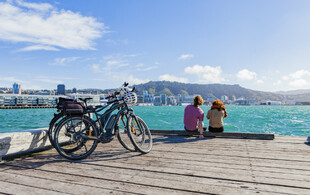 The Ultimate Wellington Bays & Petone Full-Day eBike Adventure - Options for Two & Four People