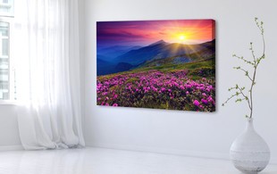 Large 40x50cm Photo Canvas incl. Nationwide Delivery - Options for up to 100x150cm